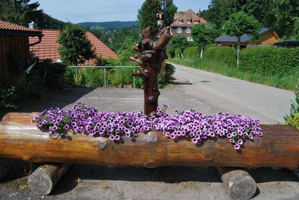 Pension Restaurant Waldblick เฟลด์แบร์ก ภายนอก รูปภาพ